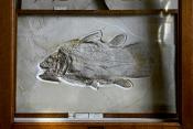tylers museum 10-2023 9314